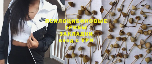 наркотики Новозыбков