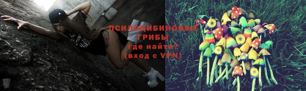 прущая мука Армянск