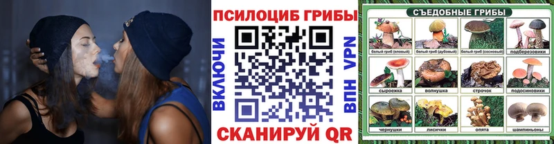 Псилоцибиновые грибы Psilocybine cubensis  закладка  Талдом 